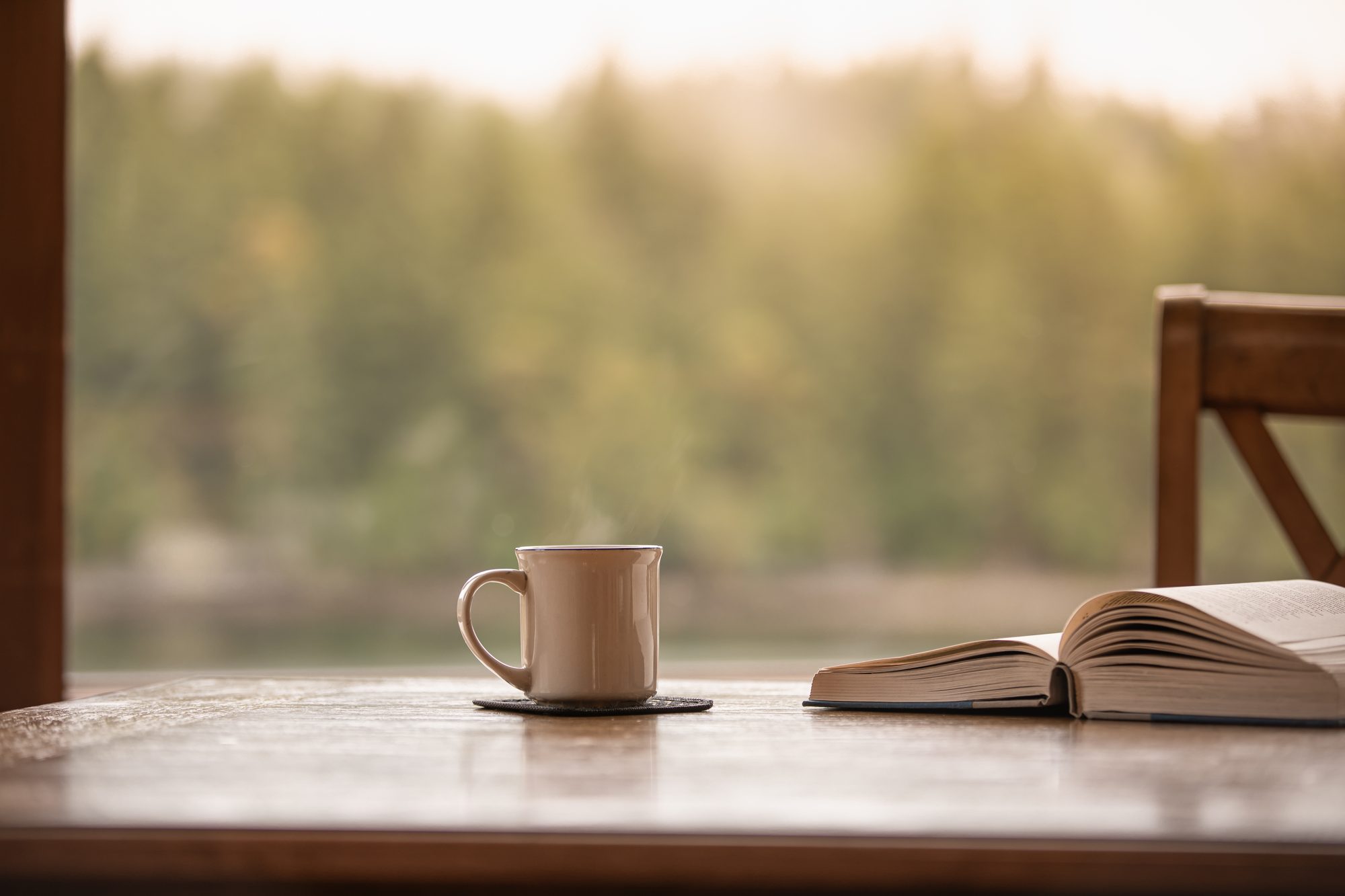 A warm cup of tea and an open book on a wooden table by a window looking onto soft green countryside — a calm, unhurried moment to yourself